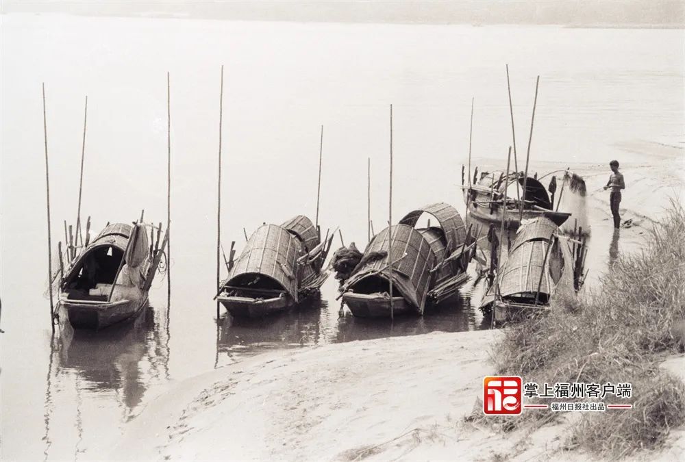 珍贵影像！福州闽江上百年来航行过的船……