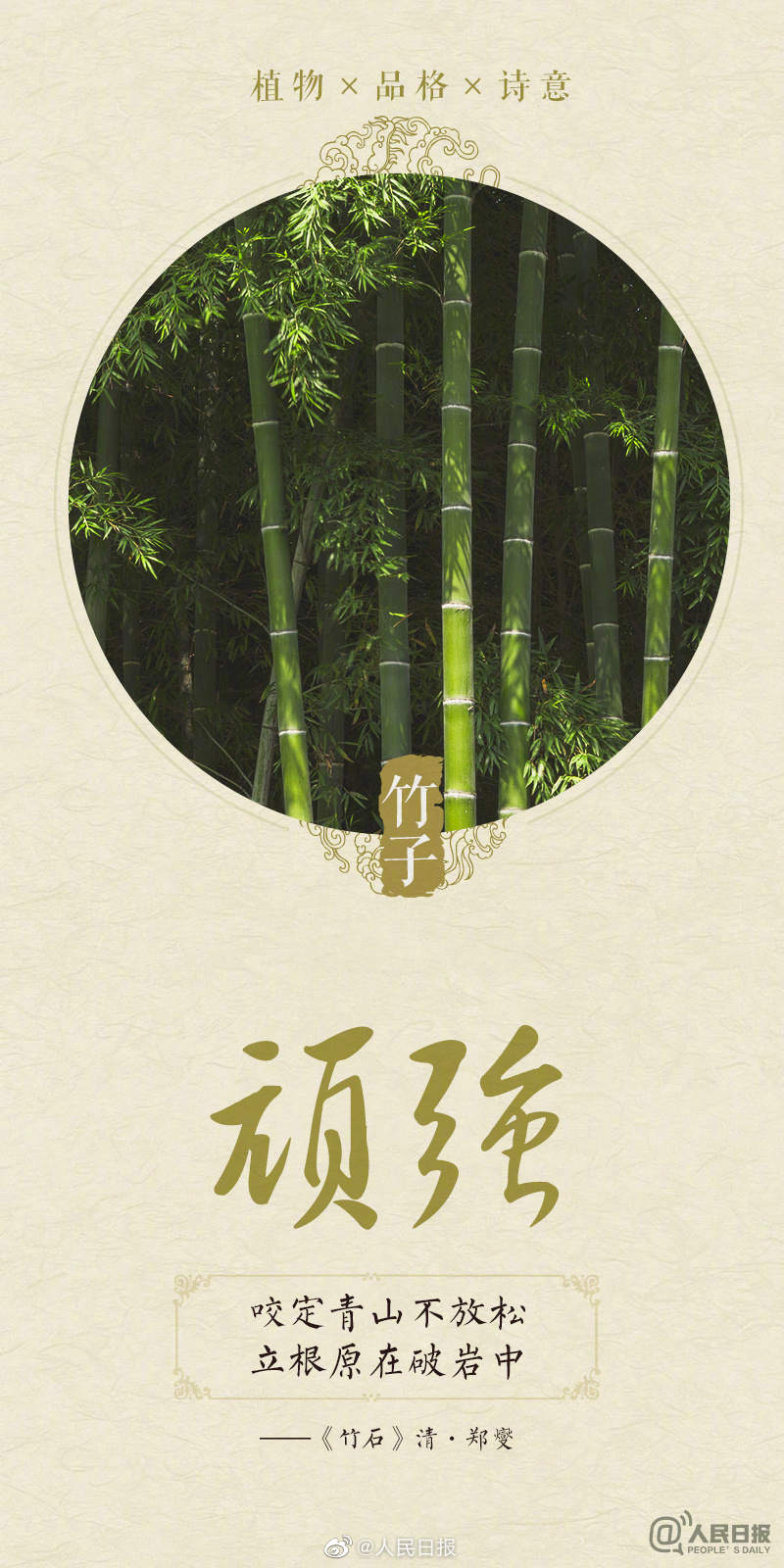 诗意满满！今天植树节，感受植物中的中国式浪漫