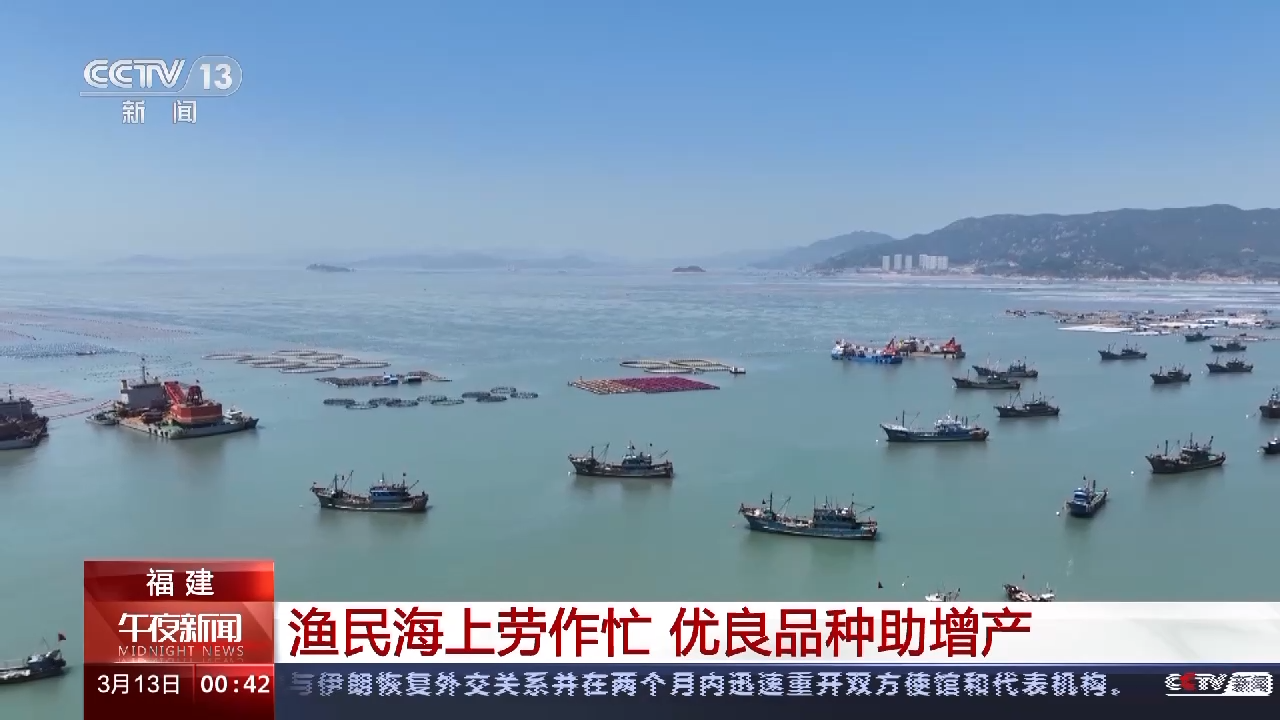 央视关注连江：渔民海上劳作忙 优良品种助增产