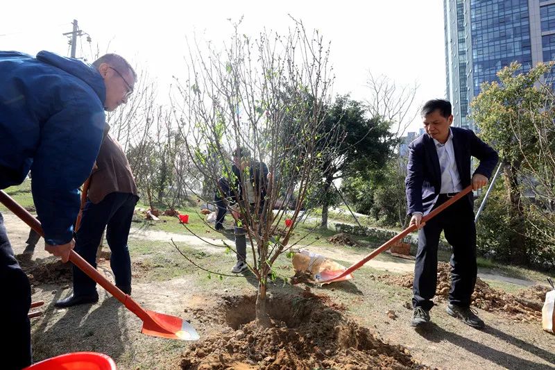 “植树造林 绿化祖国”——福州市应急管理局开展党员义务植树活动