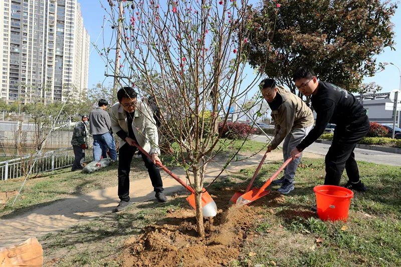 “植树造林 绿化祖国”——福州市应急管理局开展党员义务植树活动