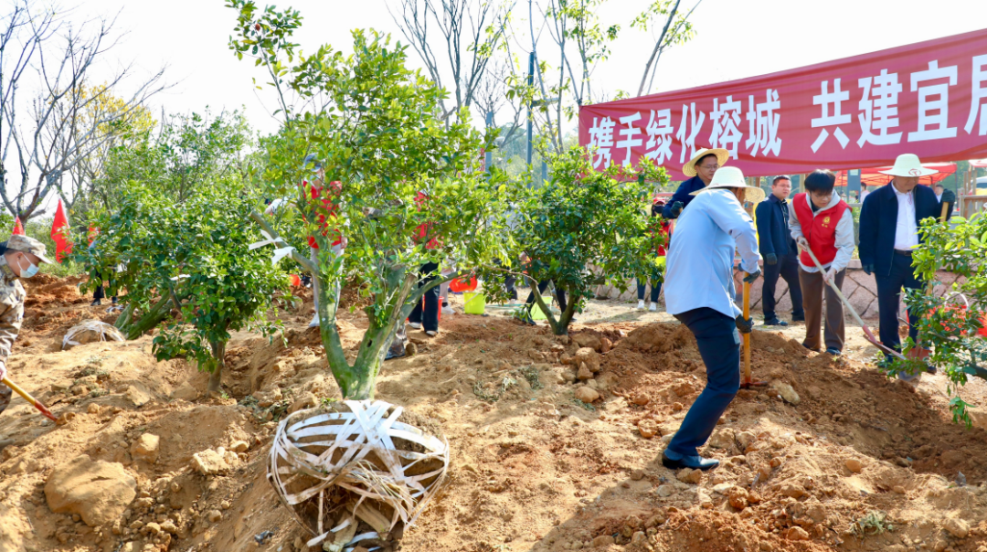 不负春光添新绿 仓山区开展义务植树活动