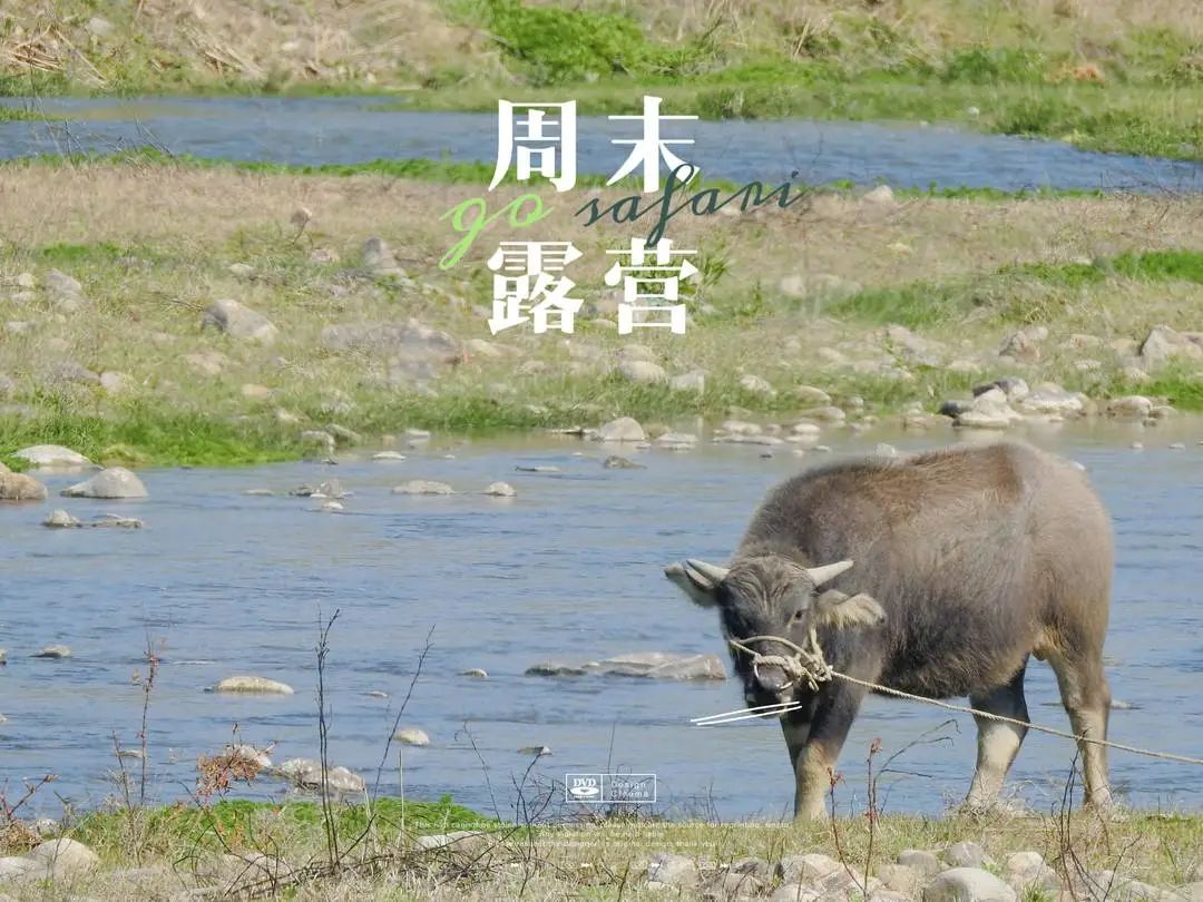 山川为骨，溪水为歌！去闽清塔庄露营吧！