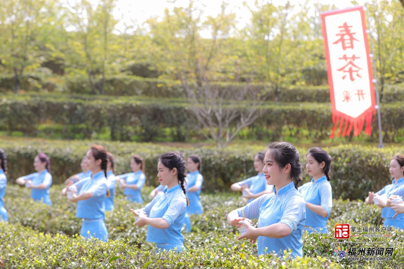 2023福州（晋安）春茶开采节举办