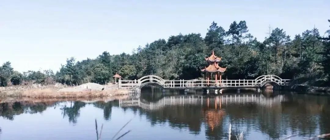 永泰盘谷：桃林树下忙养护