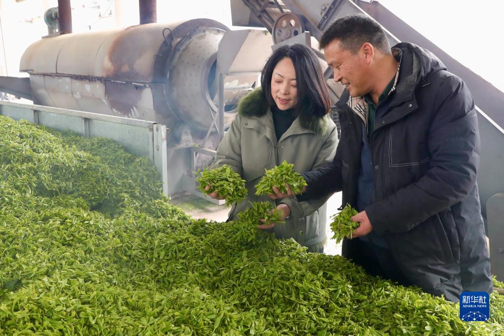 福州连江：“茶旅融合”促振兴
