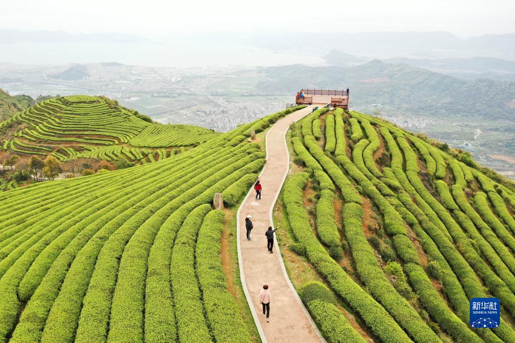 福州连江：“茶旅融合”促振兴