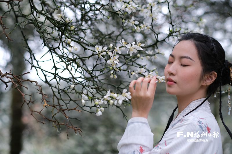 福州：最美人间四月天