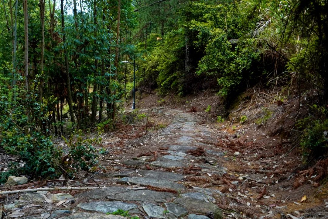 闽清千年古驿道鹫峰岭：山泉流水 悬崖陡峭