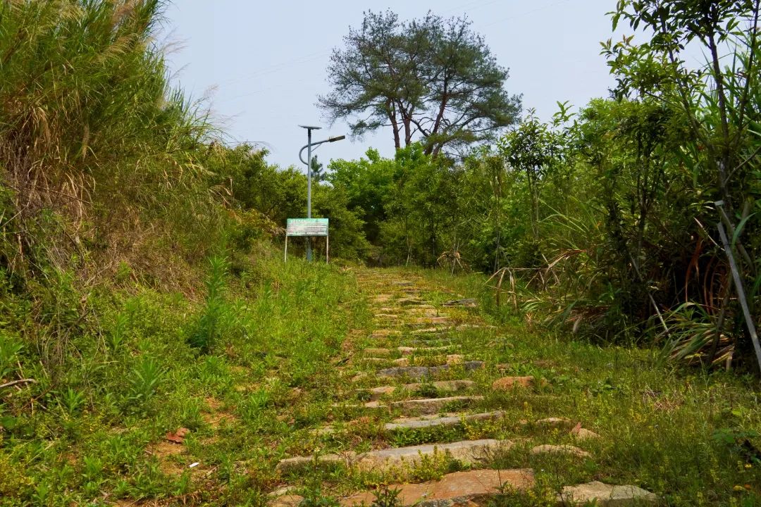 闽清千年古驿道鹫峰岭：山泉流水 悬崖陡峭