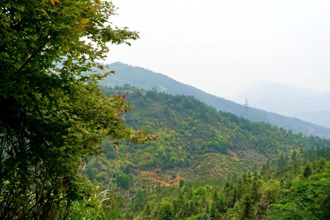 闽清千年古驿道鹫峰岭：山泉流水 悬崖陡峭