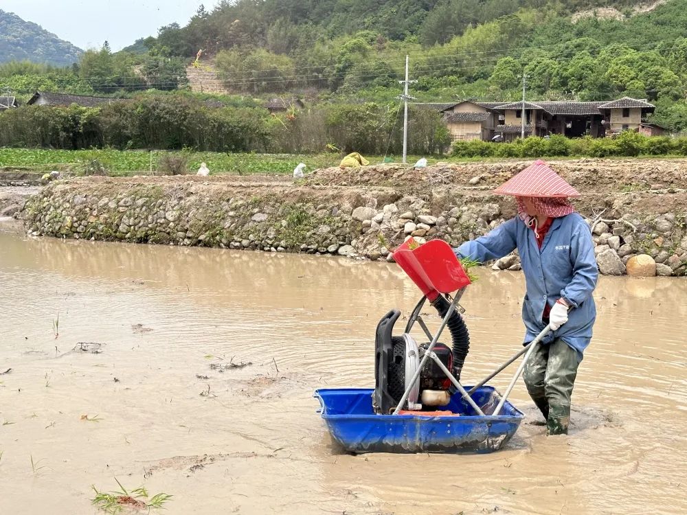 开秧门喽！2023年永泰春耕文化节启动