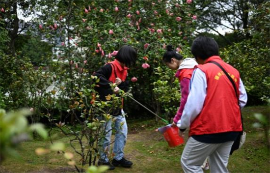 福州三中学子在西湖公园开展志愿服务