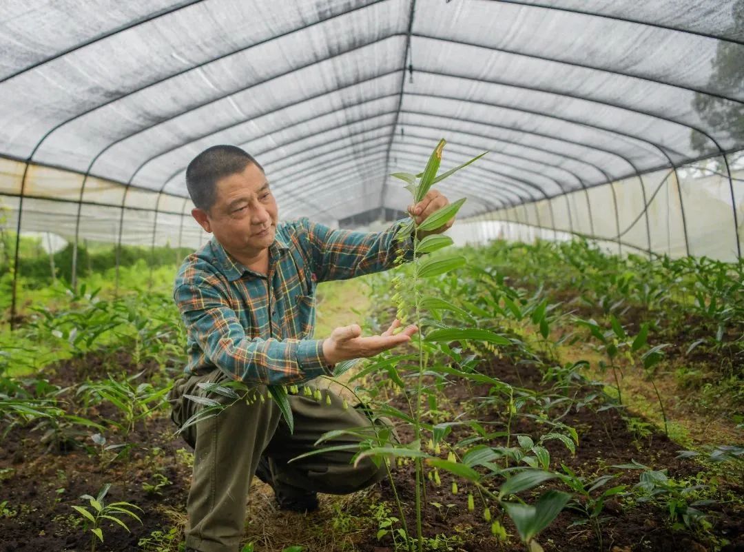 陈谟凑：只要脊梁不弯，就没有扛不起的山