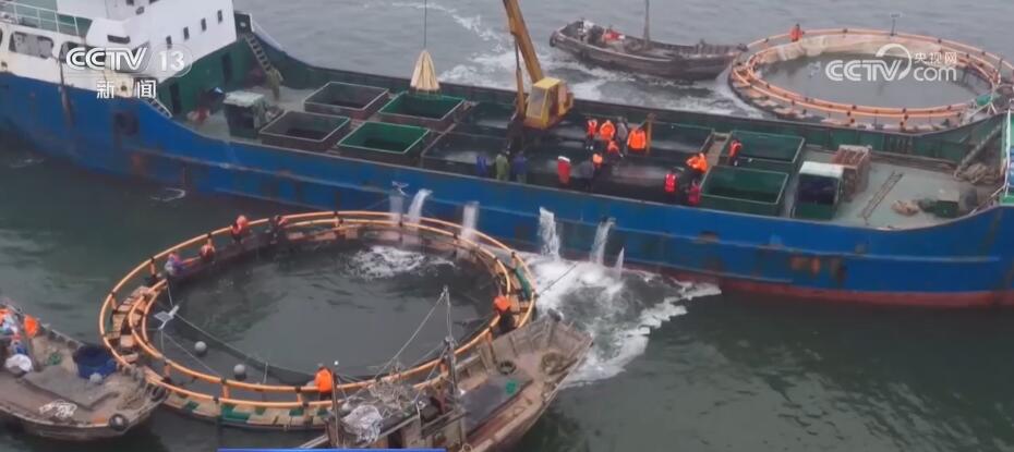 央视关注连江：休渔期间渔民有事干有钱赚 享受渔业发展红利