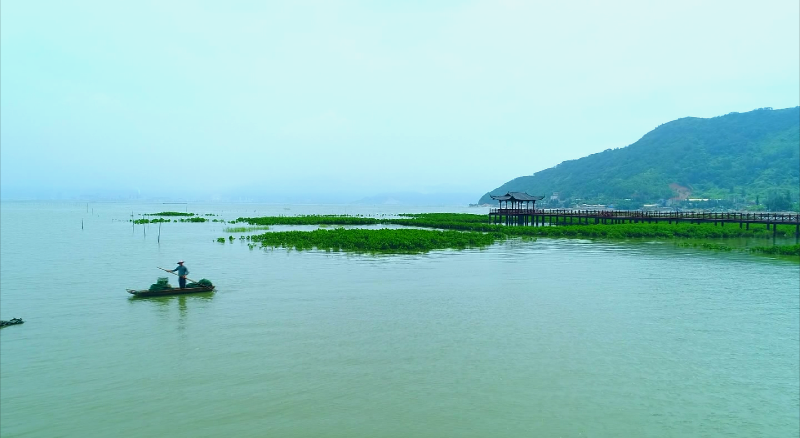 罗源县松山镇北山村：“有事好商量”凝聚乡村振兴力量