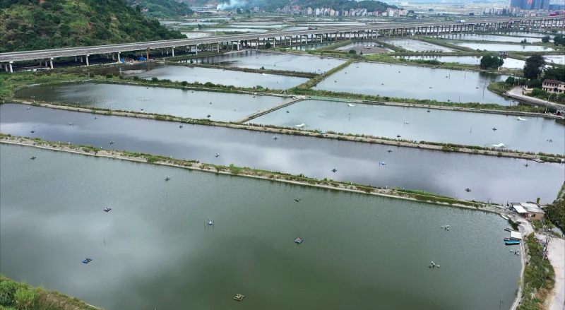 罗源县松山镇北山村：“有事好商量”凝聚乡村振兴力量