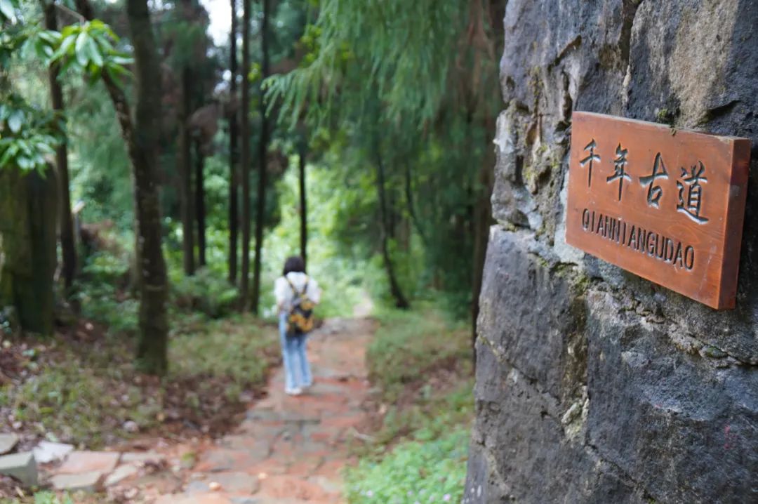 全新开发！晋安鼓岭游，又有新玩法！