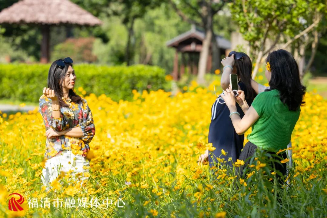 45亩花海！就在福清这里！