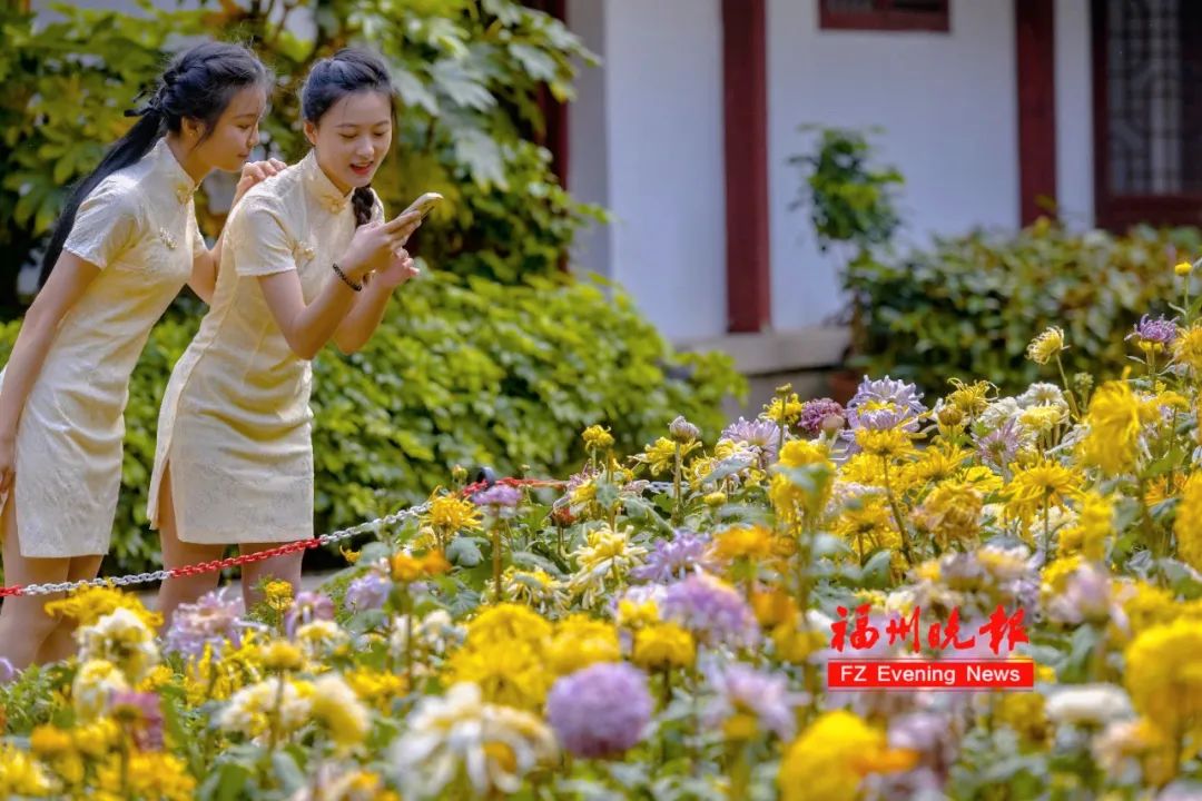 34.1℃！还有暴雨！福州接下来……