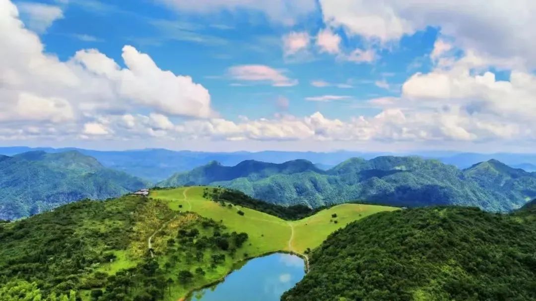 重磅！永泰再获2个国家级荣誉