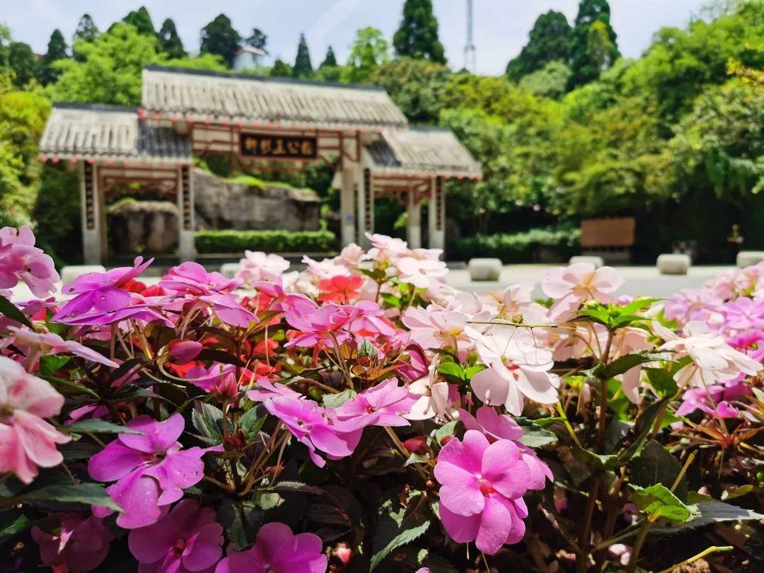 福州风景鼓岭图片