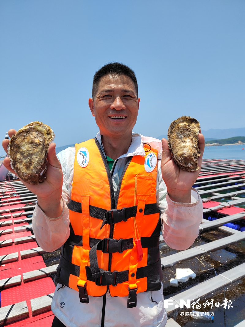 连江2.5万亩三倍体牡蛎丰收 总产量达10万吨