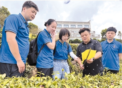 人民日报点赞宁德“四下基层”工作机制：基层壮筋骨 一线长才干