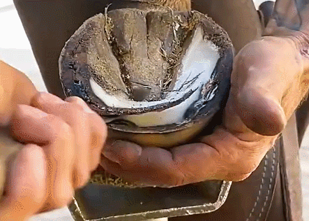 追新看点|用“魔法打败魔法”!年轻人奇葩解压神器来了 追新看点|用“魔法打败魔法”!年轻人奇葩解压神器来了