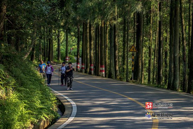 追新看点｜用“魔法打败魔法”！年轻人奇葩解压神器来了