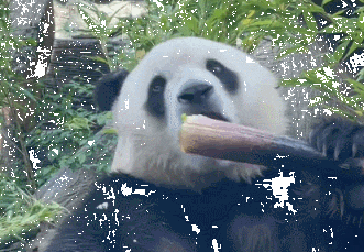 追新看点|用“魔法打败魔法”!年轻人奇葩解压神器来了 追新看点|用“魔法打败魔法”!年轻人奇葩解压神器来了