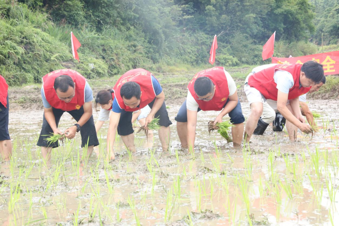 “我在乡间有亩田”！这场活动真精彩！