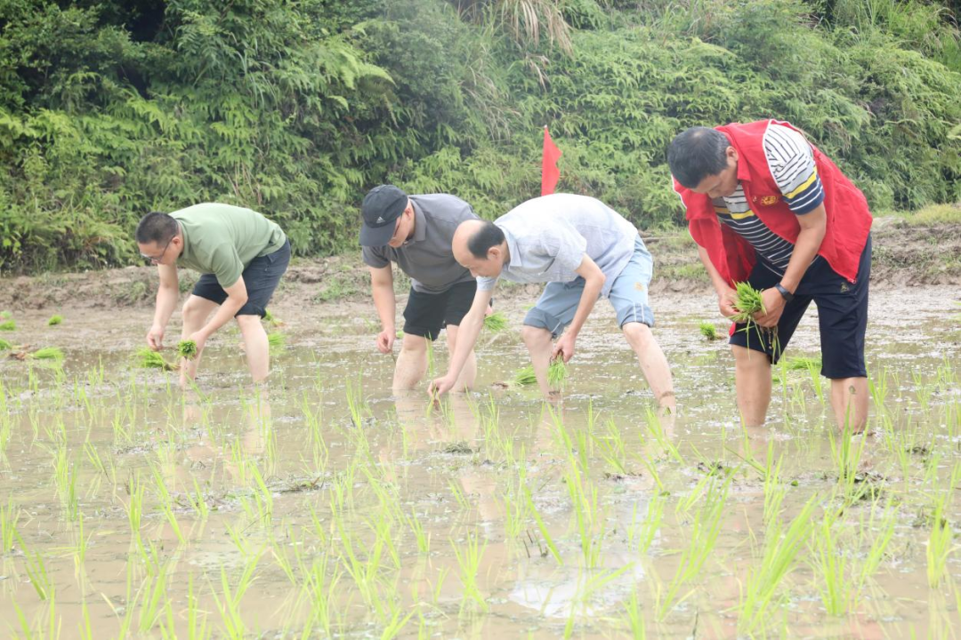 “我在乡间有亩田”！这场活动真精彩！