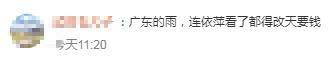 广东人正式被确诊为依萍 网友：广东的雨依萍看了都得改天要钱