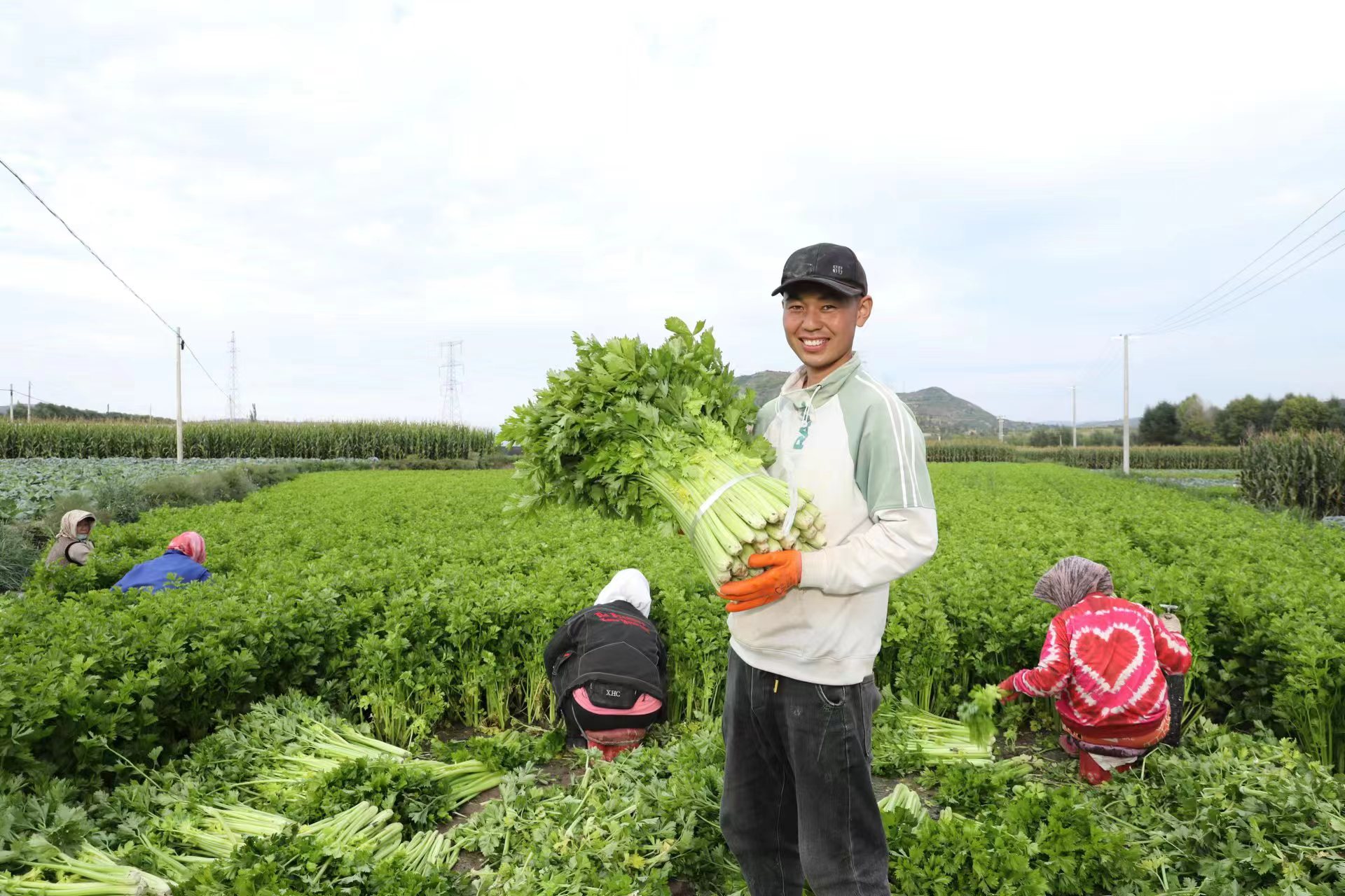 在炎热夏季“遇到”隆德的冷凉蔬菜，爽脆在口，清甜在心！