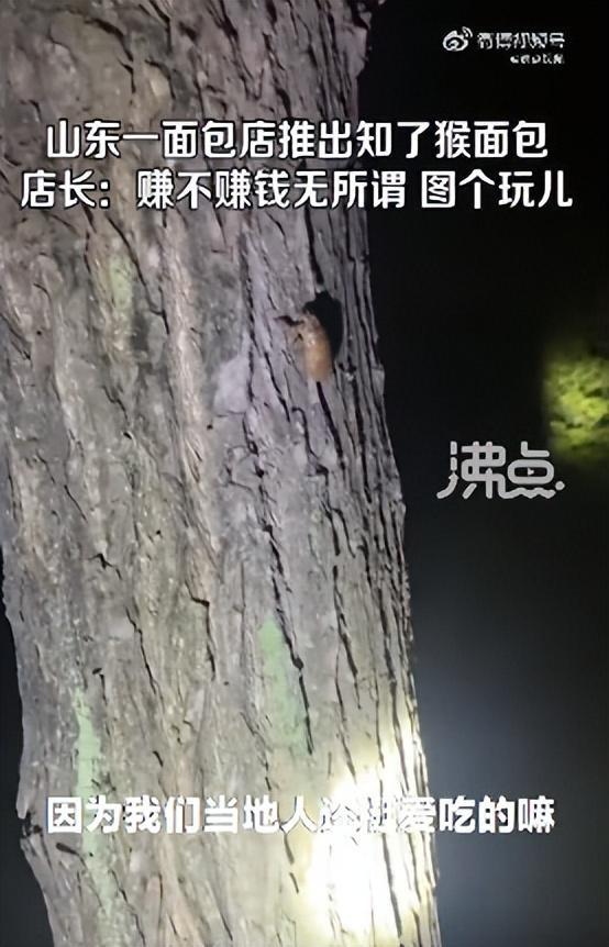 山东一面包店推出知了猴面包