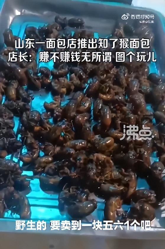 山东一面包店推出知了猴面包