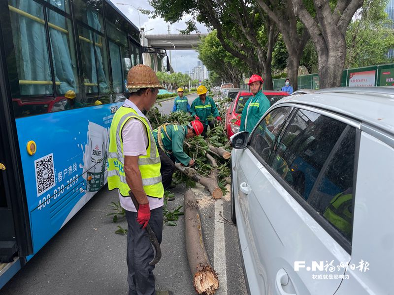 与台风“赛跑” 福州这些身影让人动容