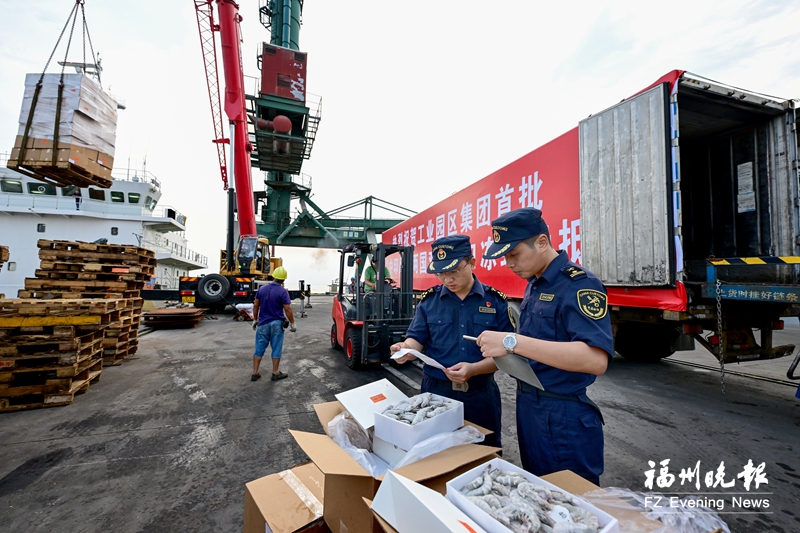 中印尼“两国双园”尝“鲜” 福州元洪码头迎来首批印尼进口冻虾