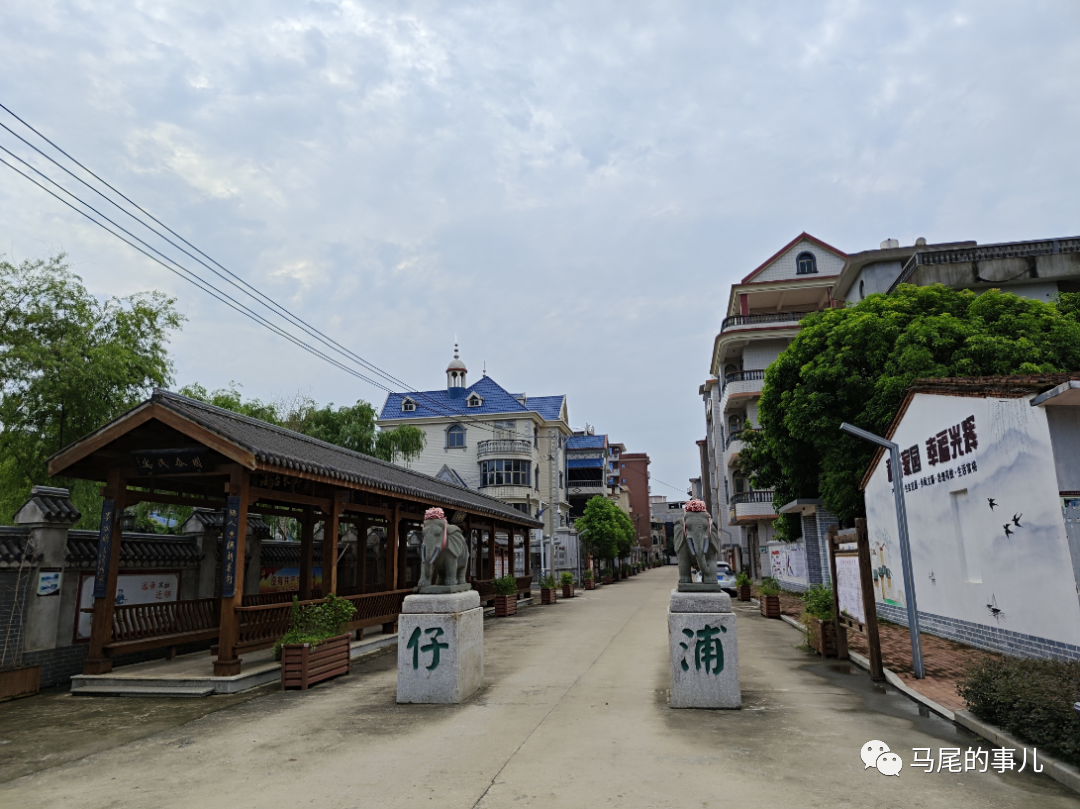 马尾这个村获评乡村振兴四星级村