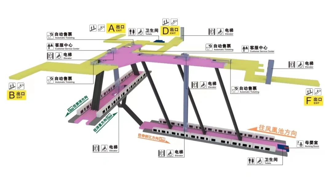 独特！福州首次！今天一早有很多人惊喜体验到了……