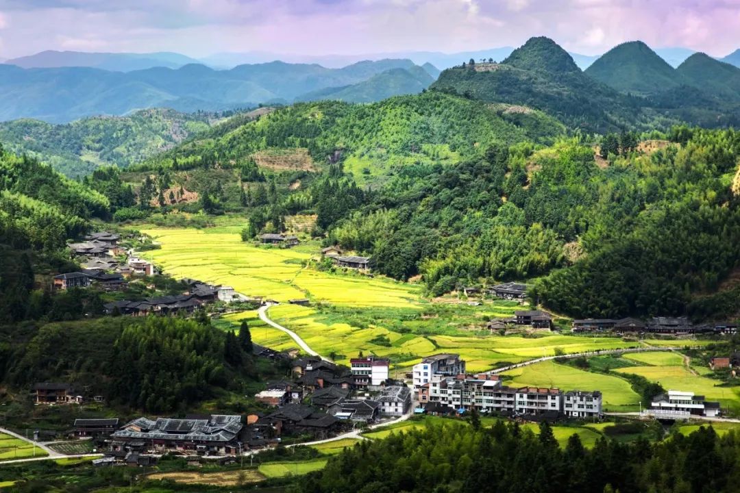 永泰盖洋村：一颗“高山生态明珠”