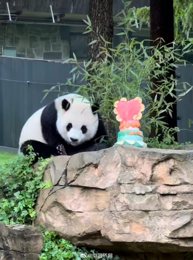 福州动物园熊猫馆门票图片