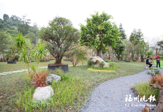 假期滨海新城建设再提速 长乐猴屿乡新增53亩植物园