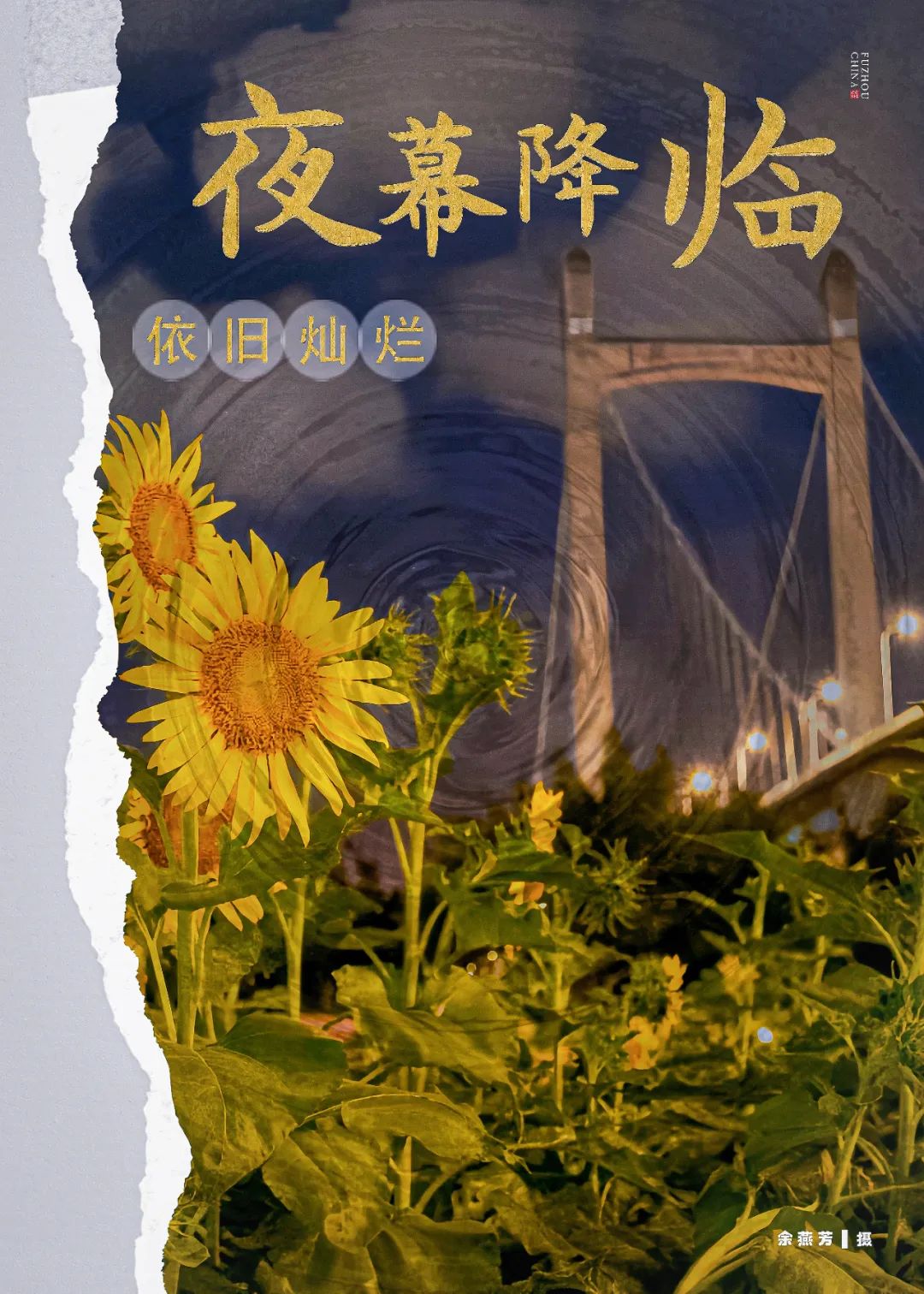 福州夜晚的向日葵花海你见过吗？