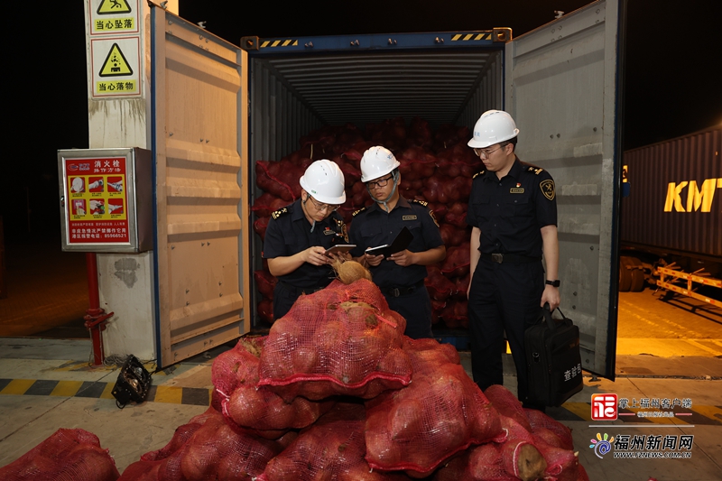 中印尼“两国双园”首批进口老椰子快速通关