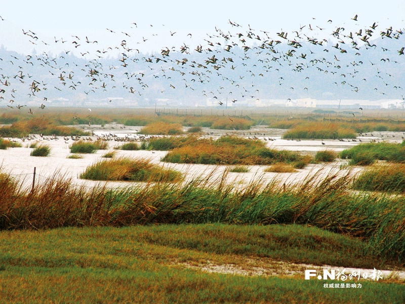 福州：大美湿地 迈向国际