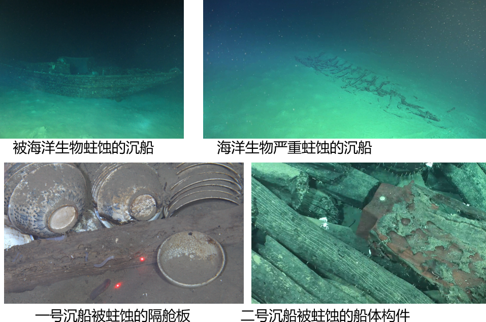 我国深海考古重要发现！还有漳州圣杯屿元代沉船遗址考古最新进展
