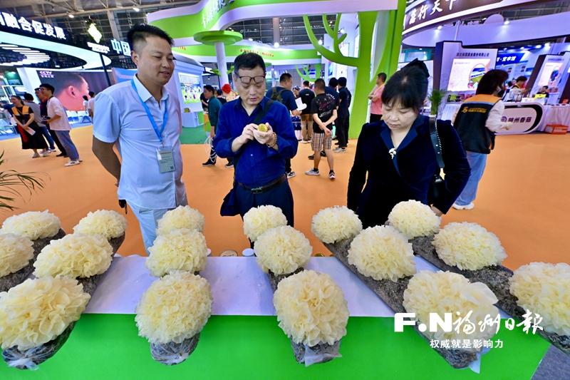 国内首个人工栽培鹿茸菇团体标准在福州发布