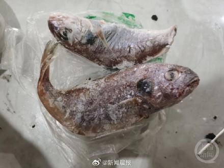 浙江一大妈买海鱼红烧后半夜发绿光